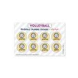 Volleyball Expansion Stickers